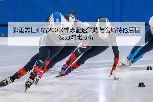 zhang-yu-fei-shi-jin-sai-mi-die-yong-pei-su-ce-lve-yu-she-si-te-lun-hou-cheng-fa-li-dui-bi-fen-xi-3-154.jpg